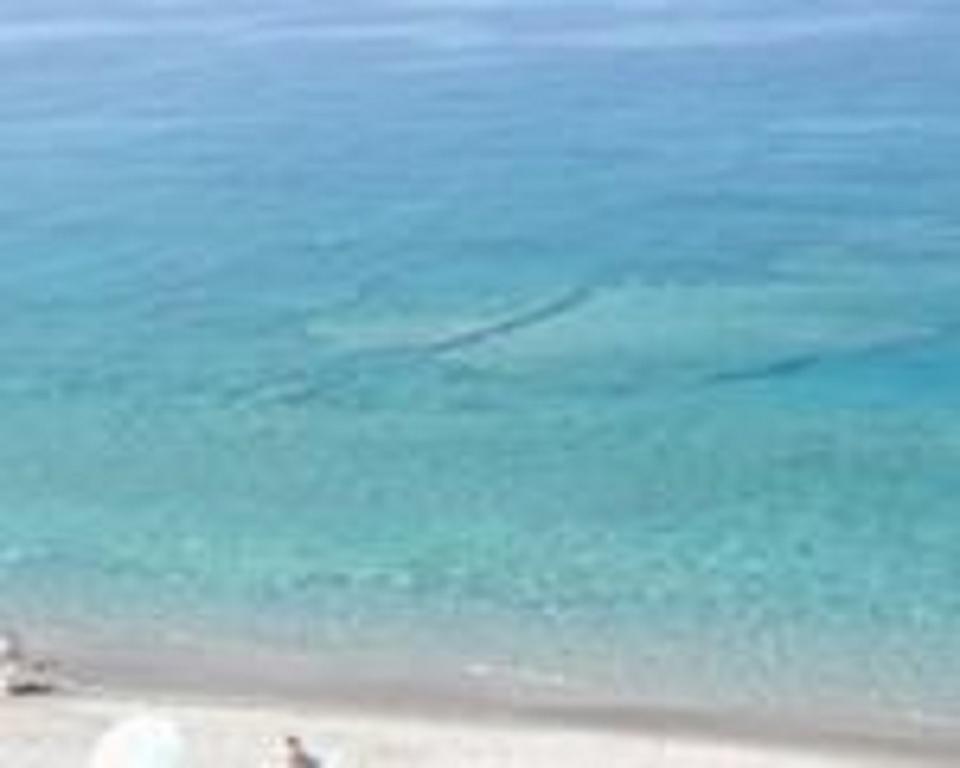 Apartament Terrazza Sul Mare Gioiosa Marea Zewnętrze zdjęcie